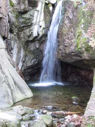 Picture_2 044